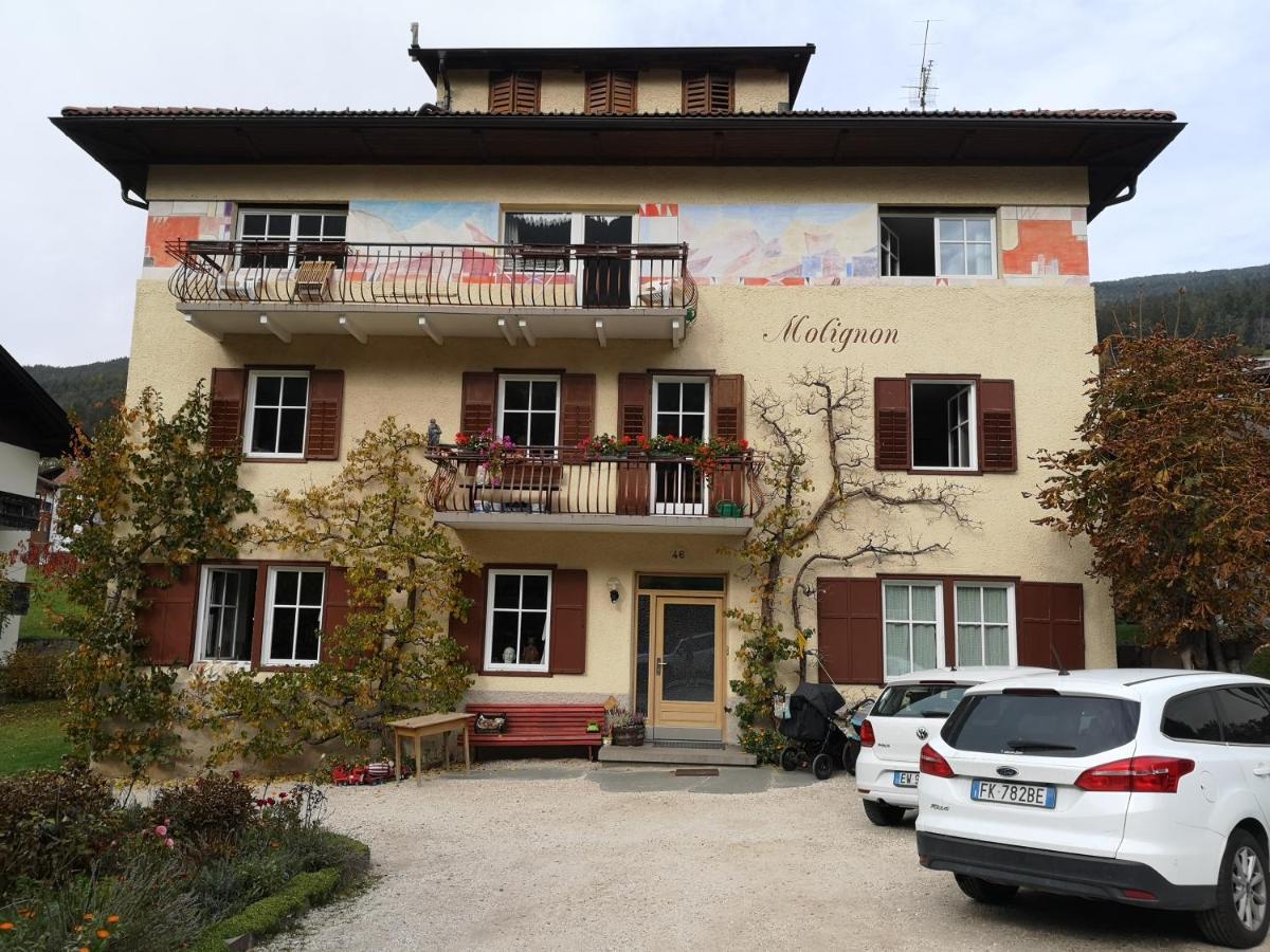Апартаменты Molignon - Ortisei - Val Gardena Экстерьер фото